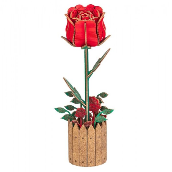 ROSA 80 PIEZAS