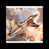 AVIÓN F-5E TIGER II 1:48