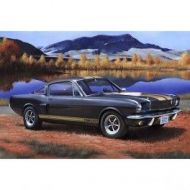 Coche Shelby Mustang GT 350 H escala 1:24