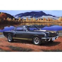 Coche Shelby Mustang GT 350 H escala 1:24