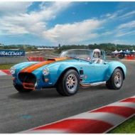Coche 65 Shelby Cobra 427 escala 1:24