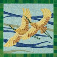 Dibujo aves