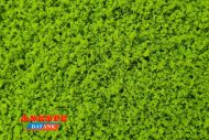 Musgo verde pradera