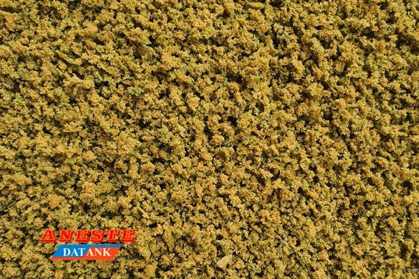 Musgo ocre seco