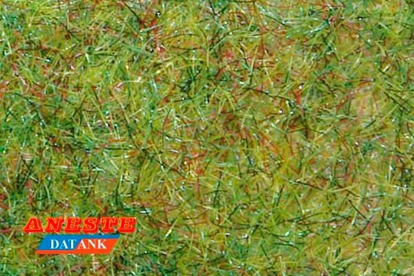 Césped verde primavera