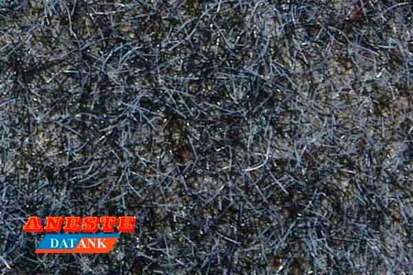 Césped gris invierno