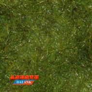 Césped verde pradera