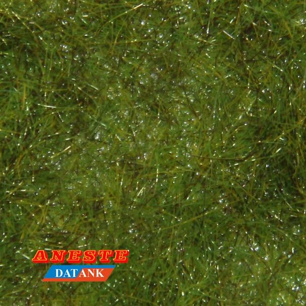 Césped verde pradera