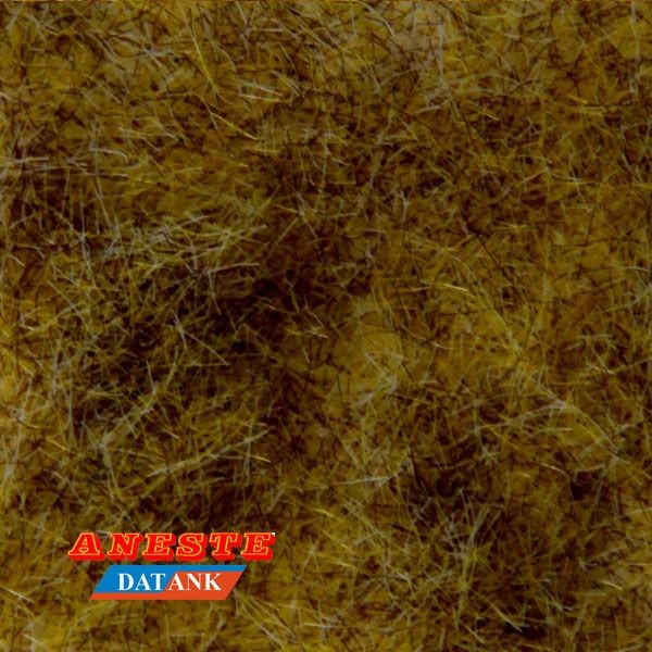 Césped verde invierno