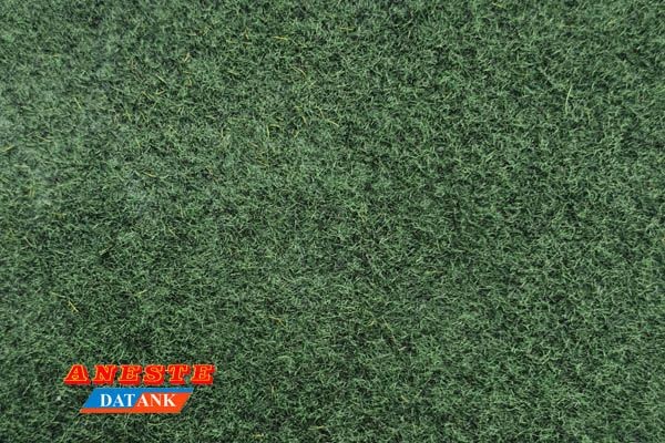 Césped verde oscuro