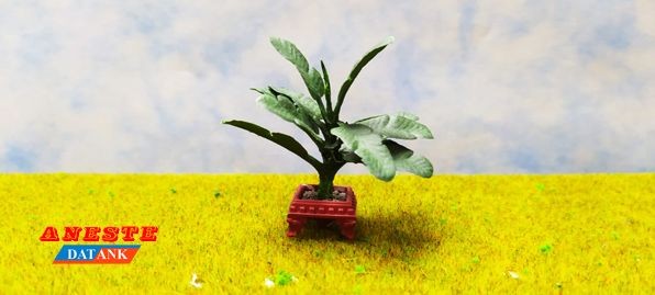 Macetón 1/2 cuba planta hoja con tronco verde medio